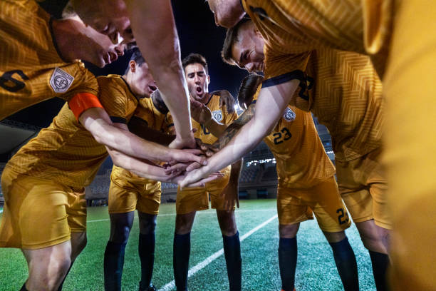 公正和透明 公正和透明